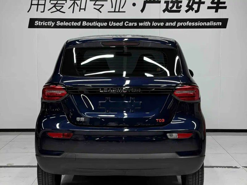 lingpao t03