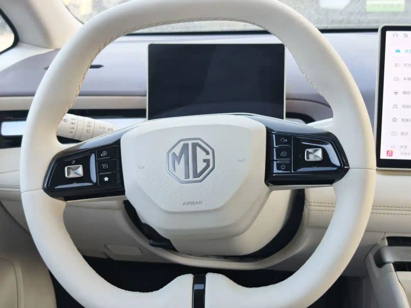 Mg model4