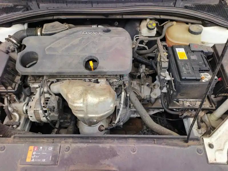Mg 5