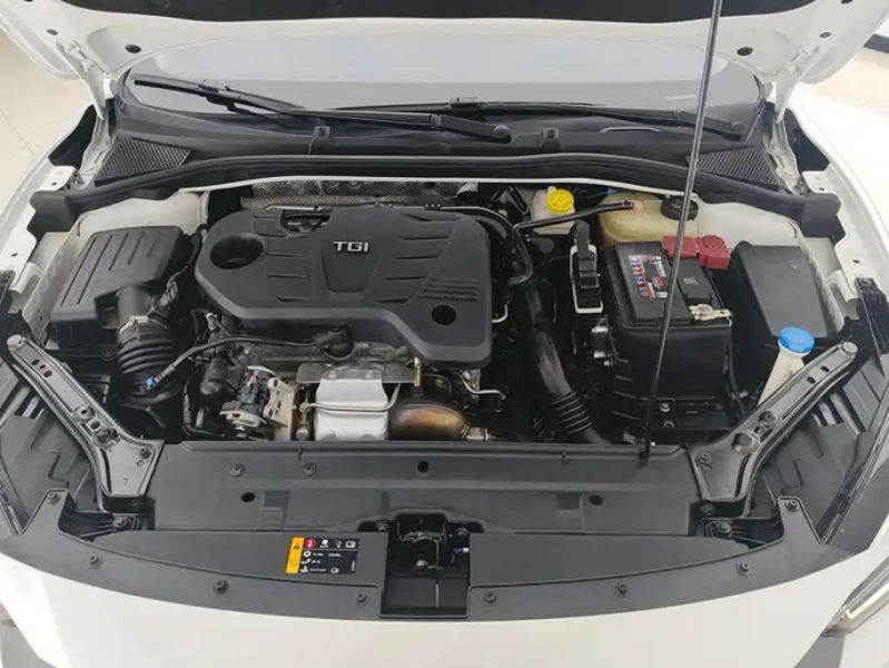 Mg 6