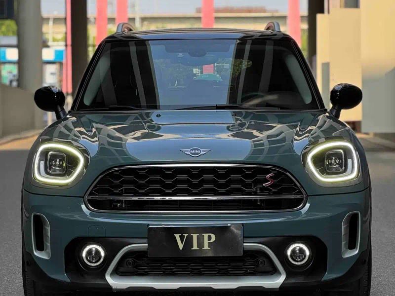 Mini countryman
