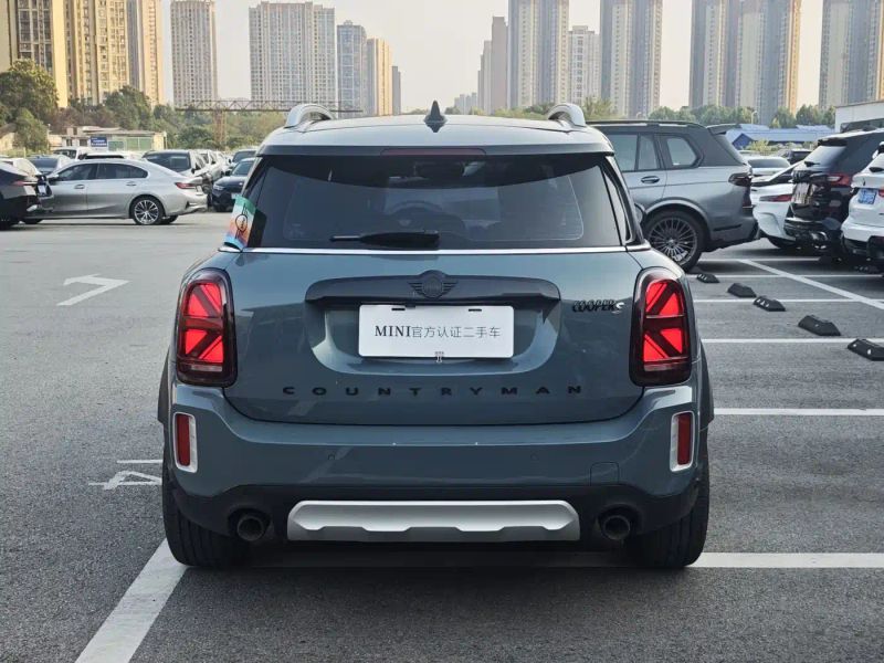 Mini countryman