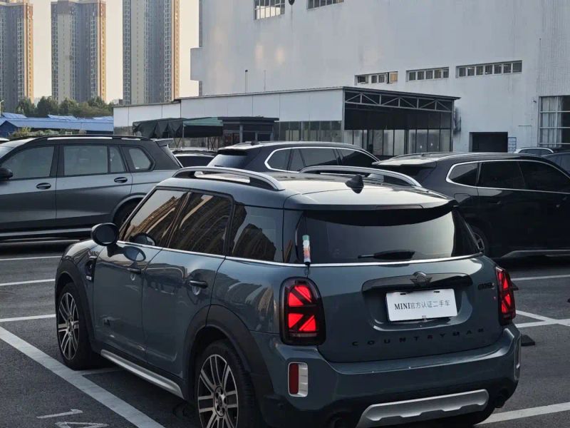 Mini countryman