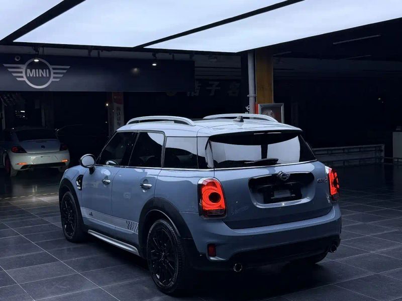Mini countryman