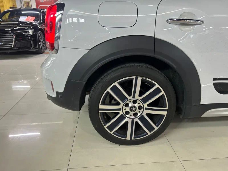 Mini countryman