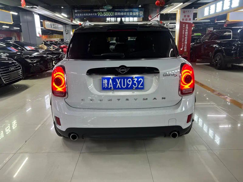 Mini countryman
