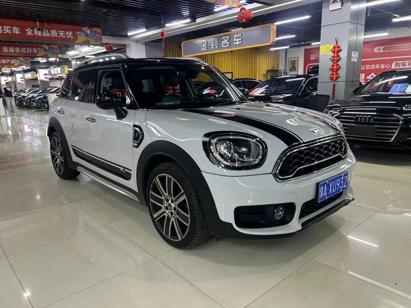 Mini countryman