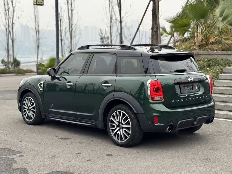 Mini countryman