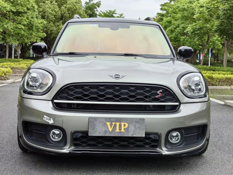 Mini countryman