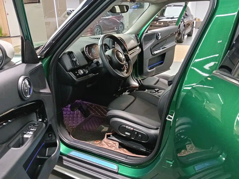 Mini countryman