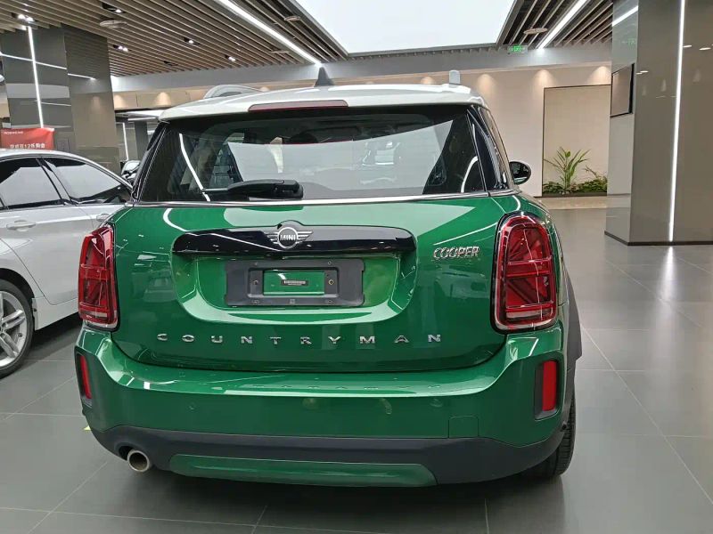 Mini countryman