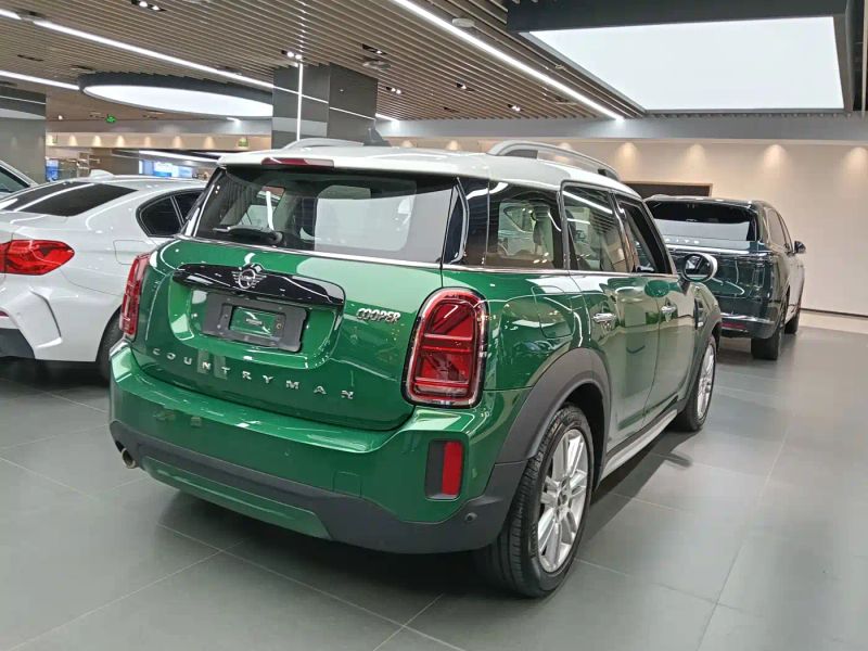 Mini countryman