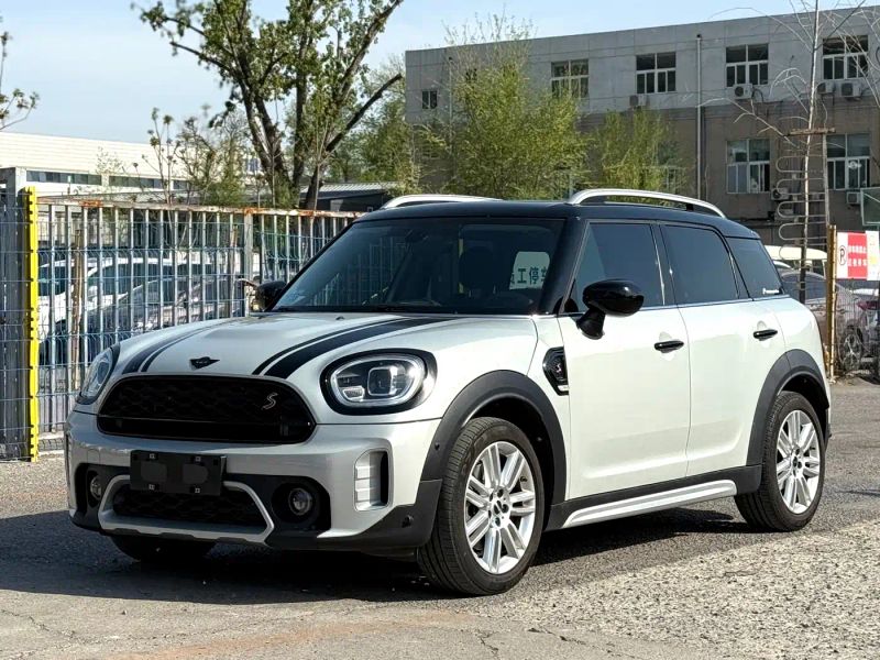Mini countryman