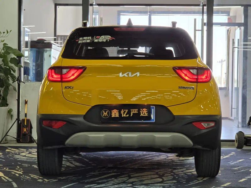 yipao yippo