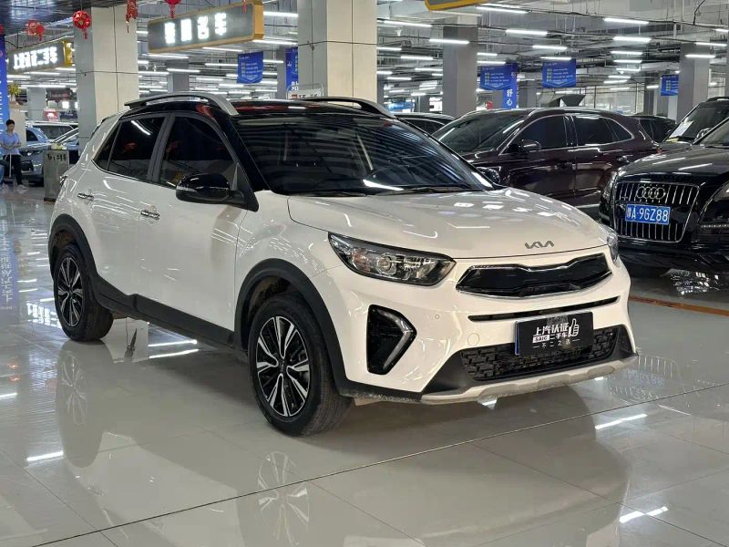 yipao yippo