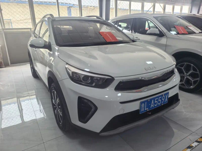 yipao yippo