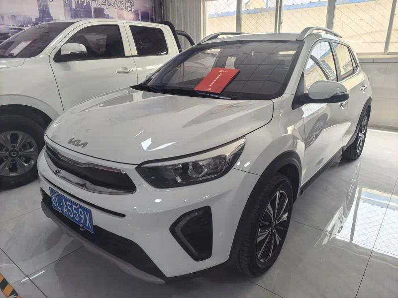 yipao yippo