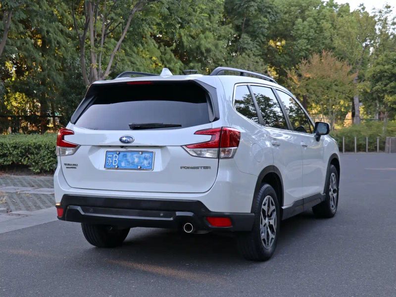 forester forester