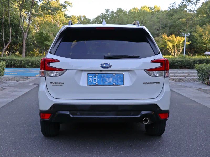 forester forester