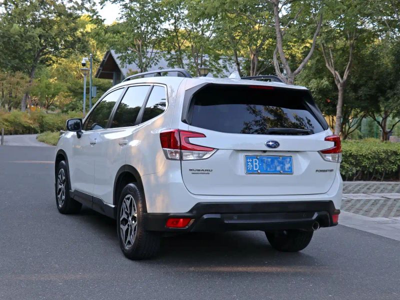 forester forester