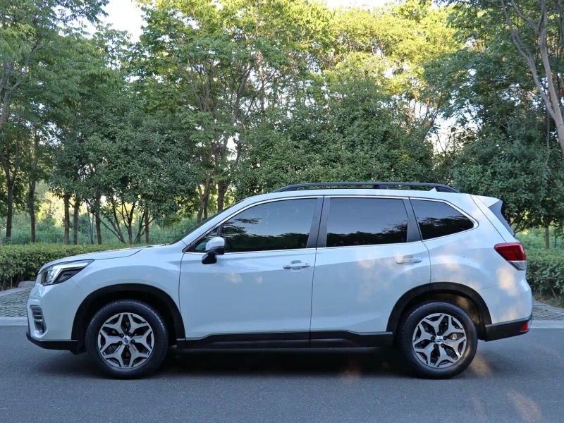 forester forester