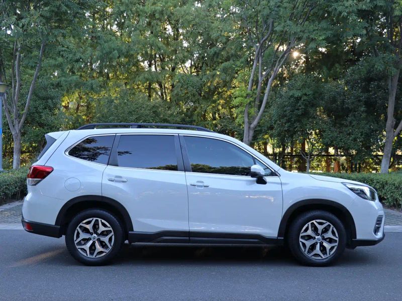 forester forester