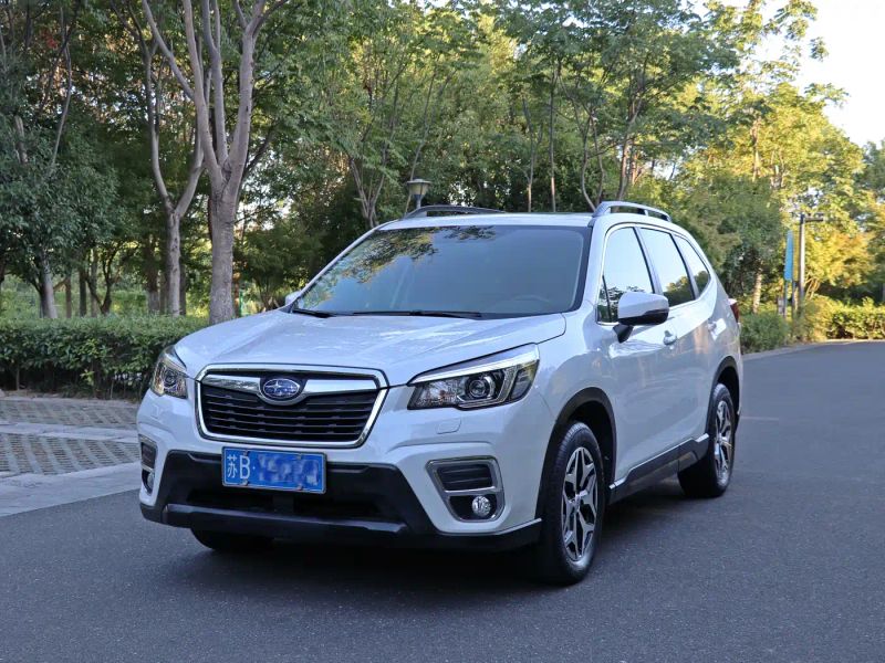 forester forester