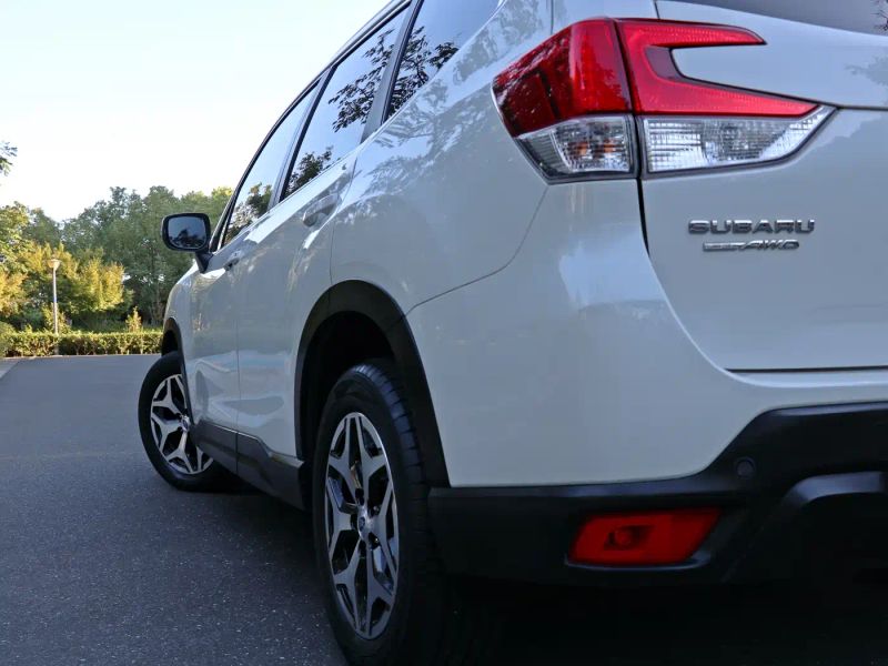 forester forester