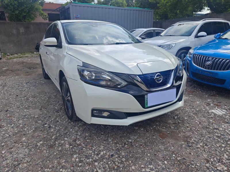 Nissan pure-electric