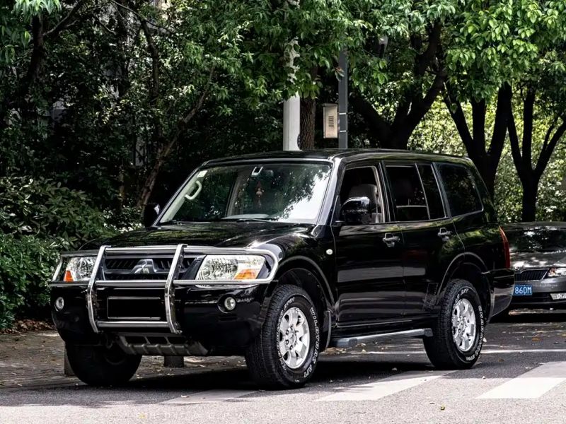 pajaro pajero