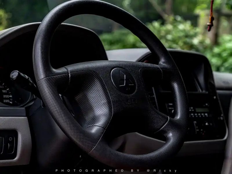 pajaro pajero