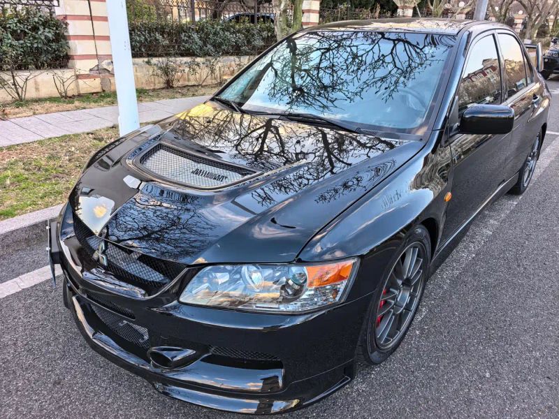pajaro lancer
