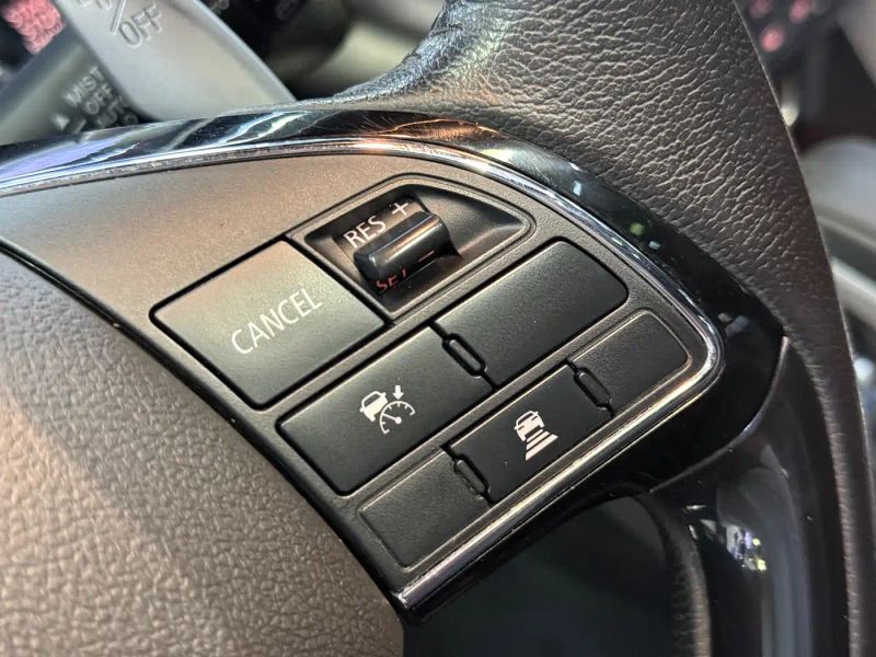pajaro yige