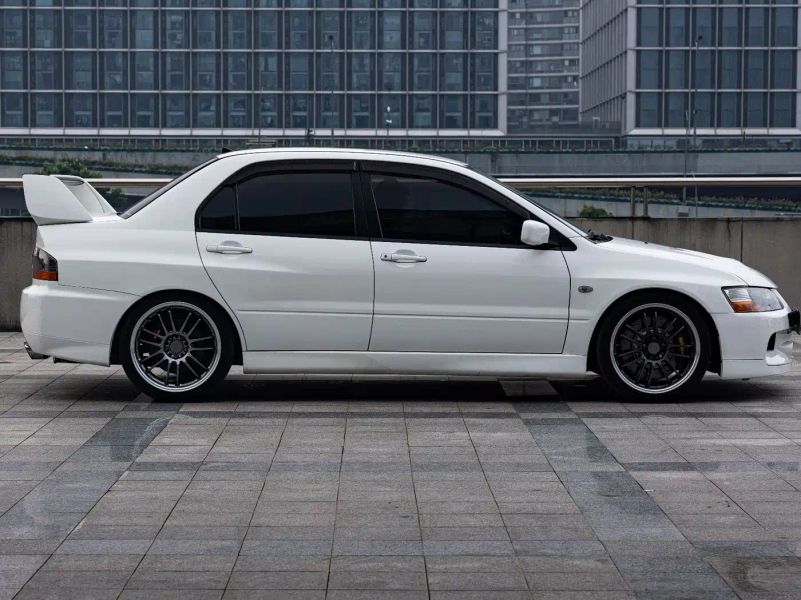 pajaro lancer