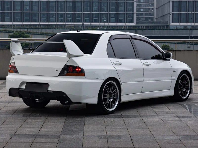 pajaro lancer