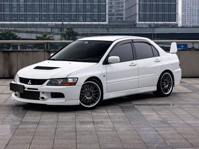 pajaro lancer