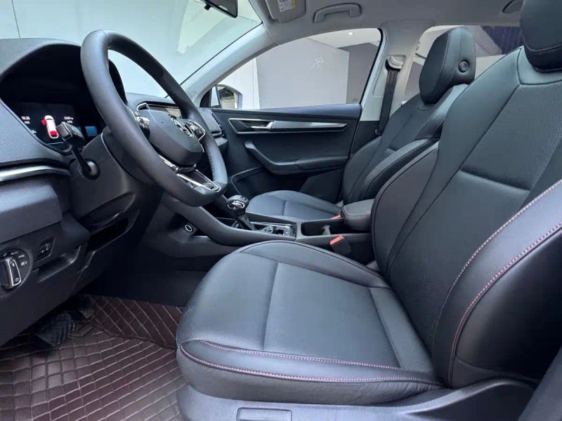 kemike kodiaq