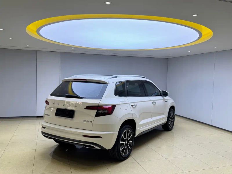 kemike kodiaq