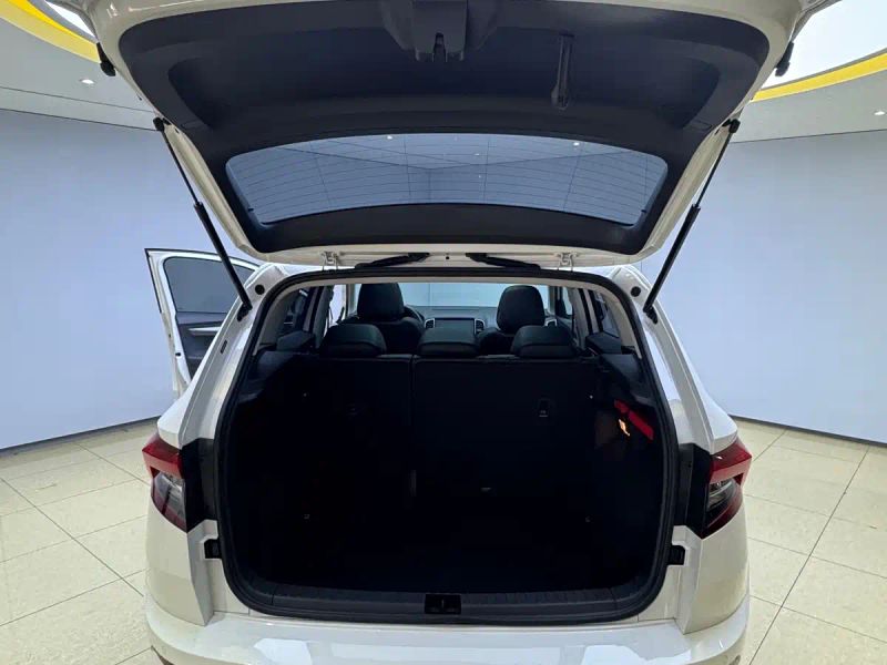 kemike kodiaq