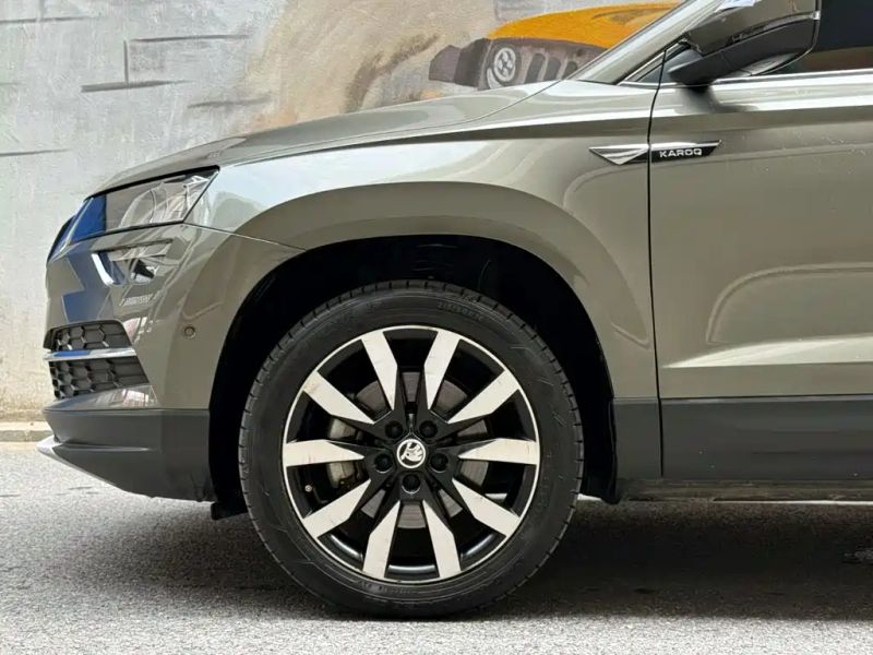 kemike kodiaq