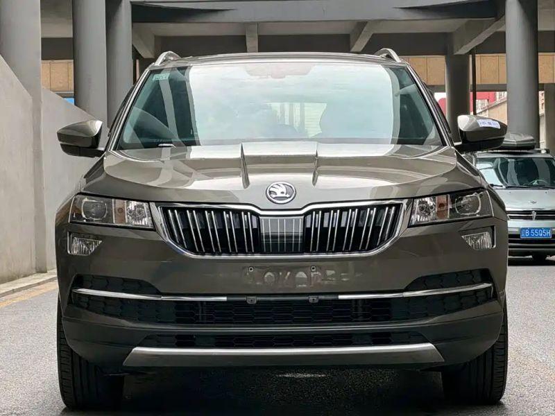 kemike kodiaq