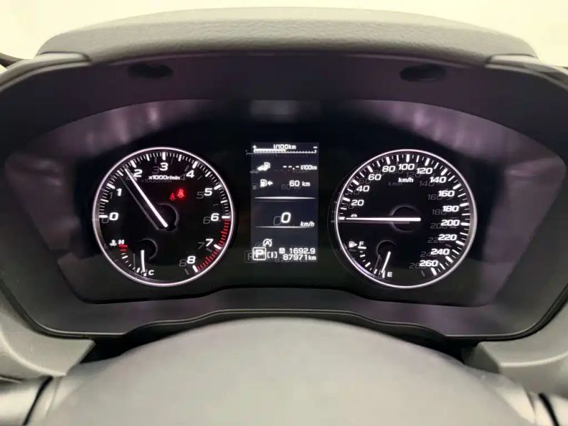 forester x-leap