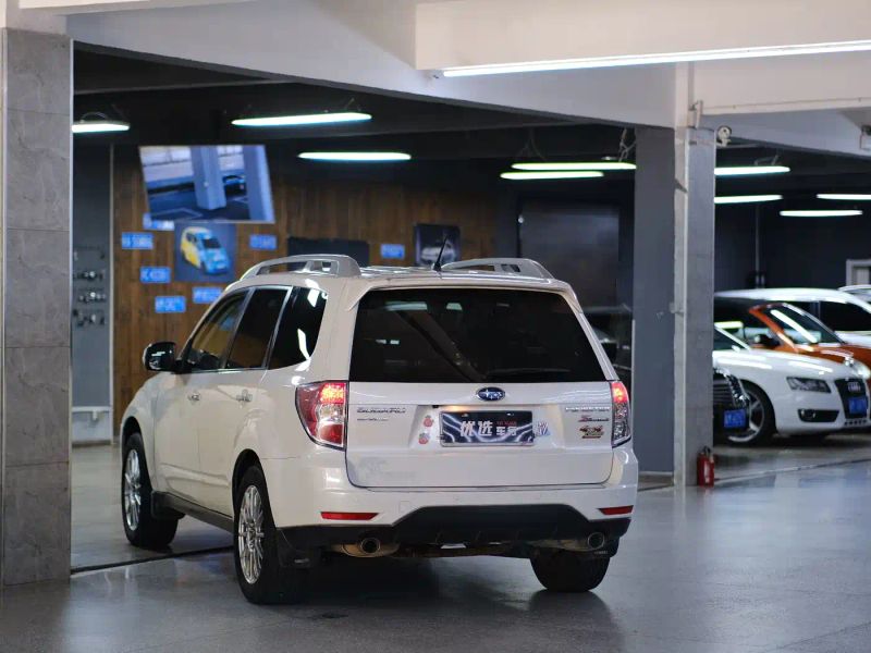 forester forester