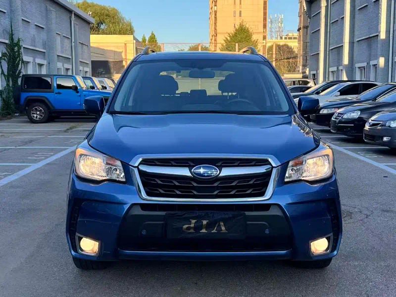 forester forester