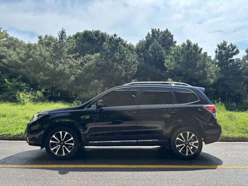 forester forester
