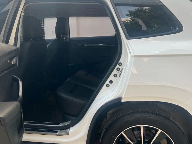 kemike kodiaq