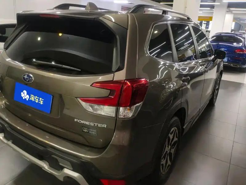forester forester