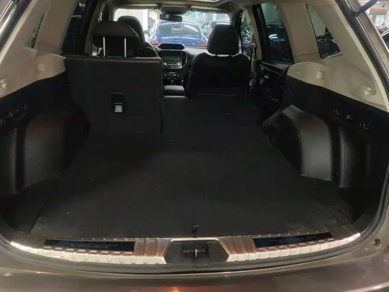 forester forester