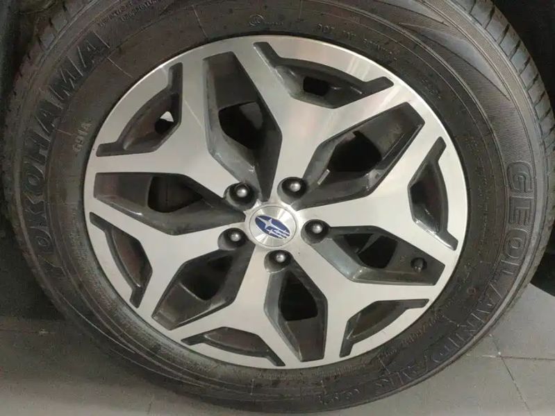 forester forester