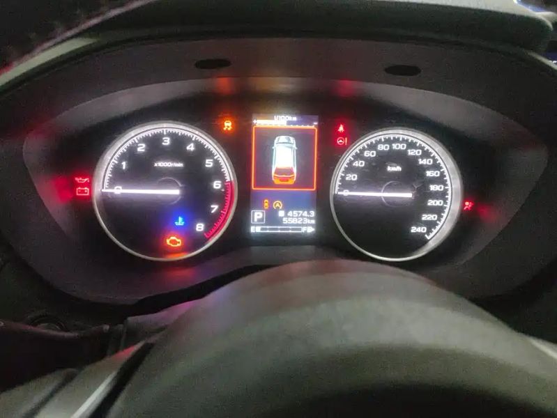 forester forester